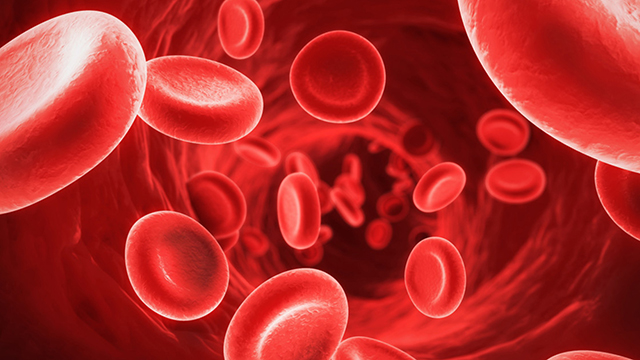 Increases-Blood-Production