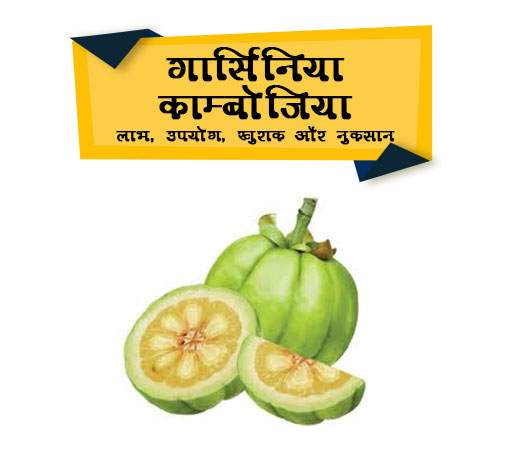 Garcinia Cambogia Indien Hindi Name