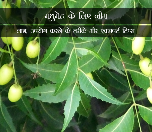 1 Neem for Diabetes in Hindi मधुमेह के लिए नीम: लाभ, उपयोग करने के तरीके और एक्सपर्ट टिप्स