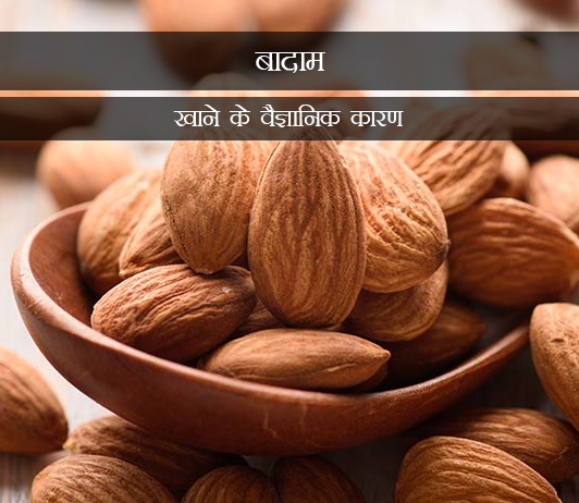 10 5 Scientific Reasons To Have Almonds in Hindi बादाम खाने के वैज्ञानिक कारण
