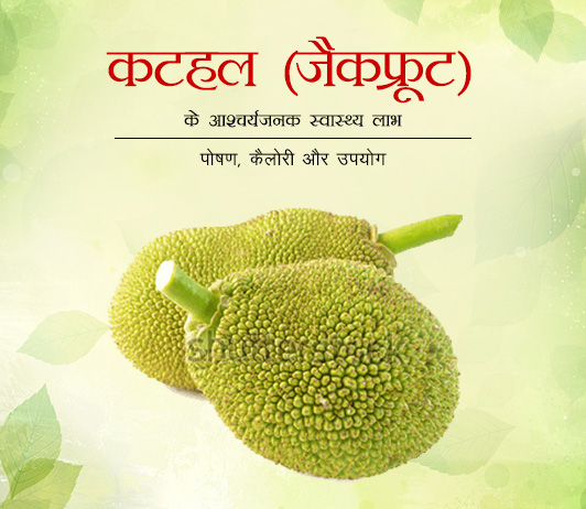 7 Health Benefits of Jackfruit in Hindi कटहल (जैकफ्रूट) के आश्चर्यजनक स्वास्थ्य लाभ - पोषण, कैलोरी और उपयोग