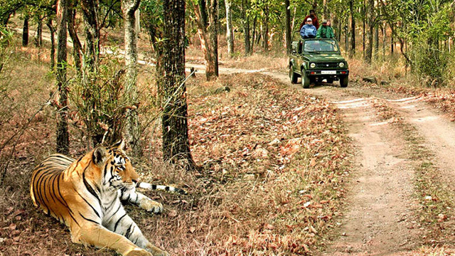 Jim-Corbett-National-Park