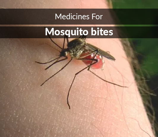 Mosquito bites List of 13 Best Medicines for Mosquito bites- Composition, Dosage, Popularity & More (2019)
