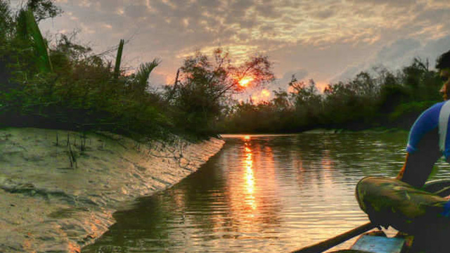 Sundarban-National-Park