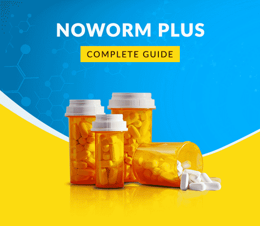 Noworm-Plus Noworm Plus Tablets: Uses, Dosage, Side Effects, Price, Composition & 20 FAQs