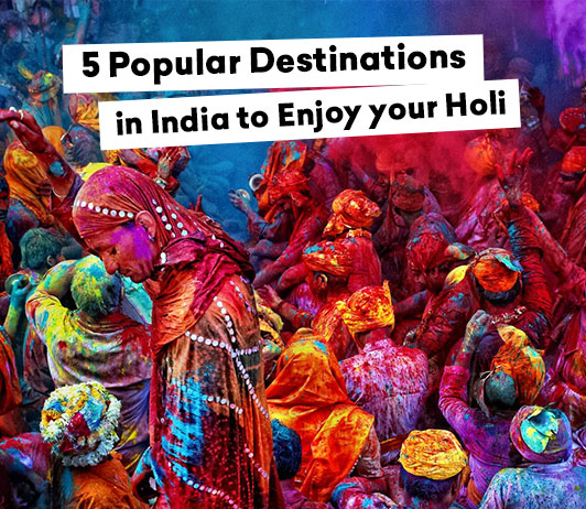 holi cover image