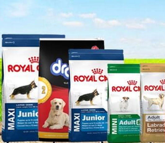 Best-Pet-Food-Products-to-Grab-from-Amazon-Pantry