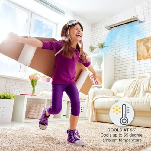 Whirlpool 3DCool 1.5T 5 Star Xpand Inverter Split AC