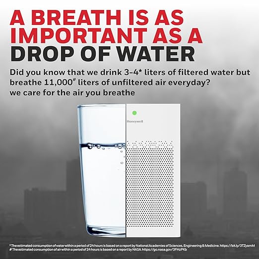 Honeywell P1  Indoor Air Purifier With HEPA Filter