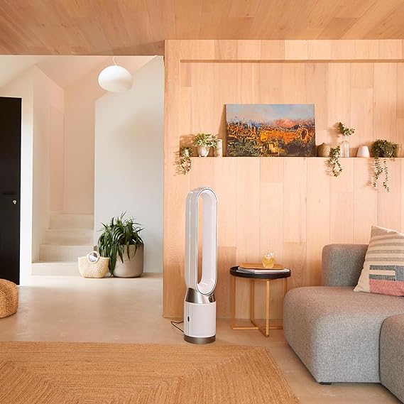 Dyson TP10 Cool Gen1 Air Purifier