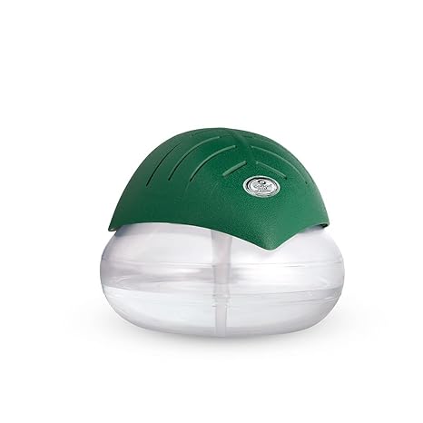 Fragair Portable Room Air Purifier