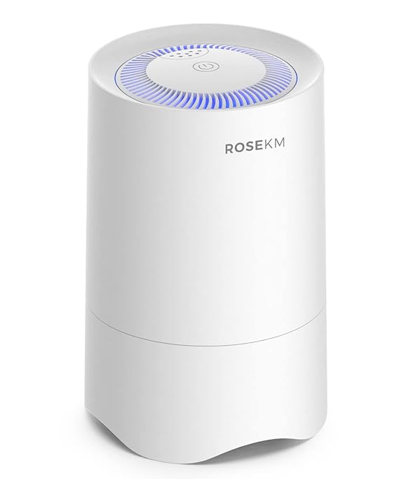 Rosekm Small Air Purifier