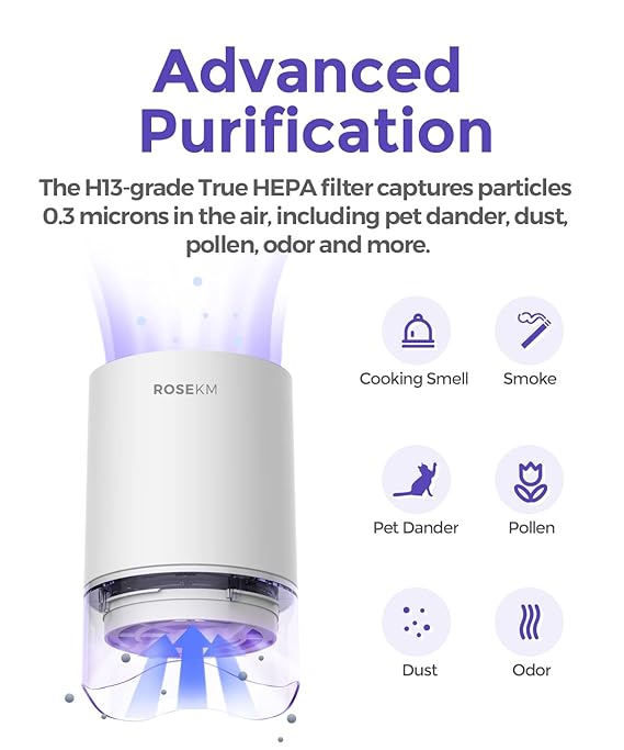 Rosekm Small Air Purifier