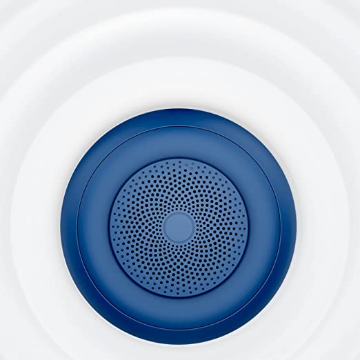 boAt Stone 135 Portable Wireless Speaker
