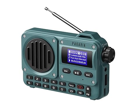Pagaria Grenade 5 Watts Pocket FM Radio with Bluetooth