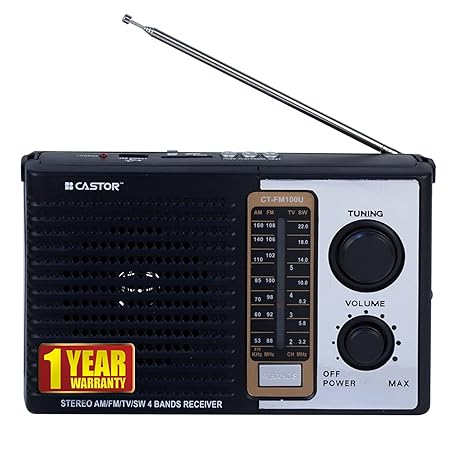 iBell CTFM100U Portable FM Radio, with USB, SD Card, MP3 Player & Dynamic Speaker 4 Band