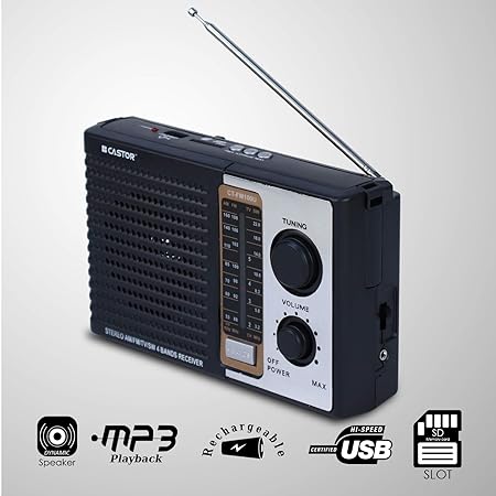 iBell CTFM100U Portable FM Radio, with USB, SD Card, MP3 Player & Dynamic Speaker 4 Band