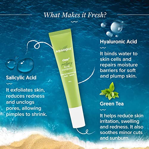 Aqualogica Clear+ Purifying Acne Corrector with Green Tea & Salicylic Acid
