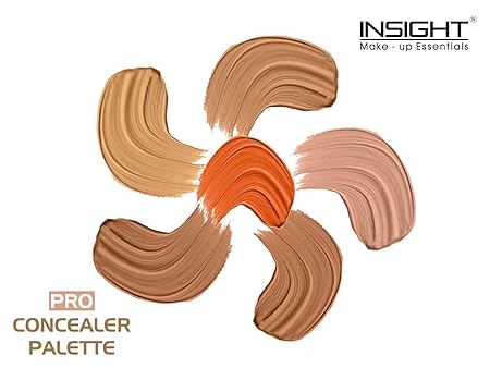 Insight Cosmetics Natural Pro Concealer Palette Powder Concealer