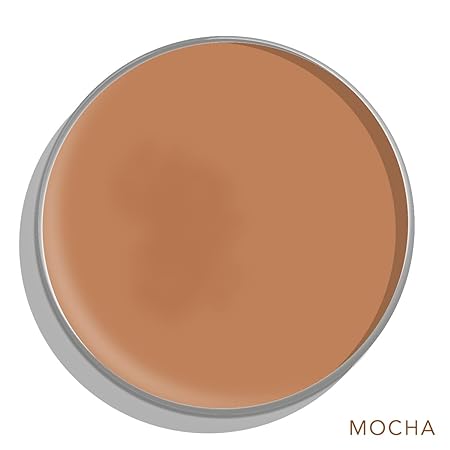 Daughter Earth Full Coverage Natural Concealer Powder | Mocha