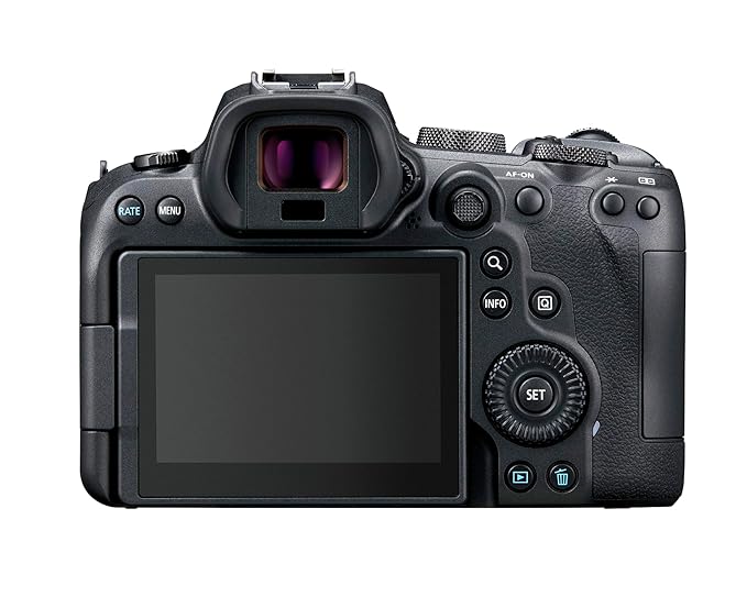 Canon EOS R6 Full-Frame Mirrorless Camera with 10X Digital Zoom and RF24-105mm F4 L