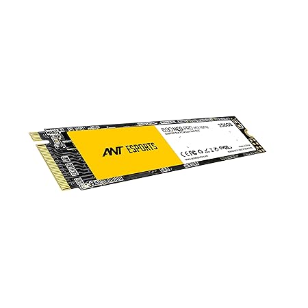 Ant Esports 690 Neo Pro M.2 NVME 256GB Internal Solid State Drive/SSD with NMVE