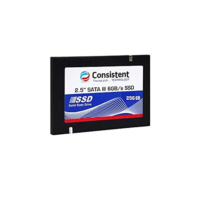 Consistent SATA 3 25 inch 256 GB Internal SSD