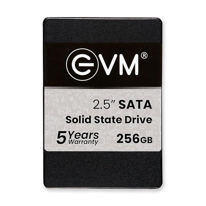 EVM M25 SATA  25 inch 256 GB Internal SSD