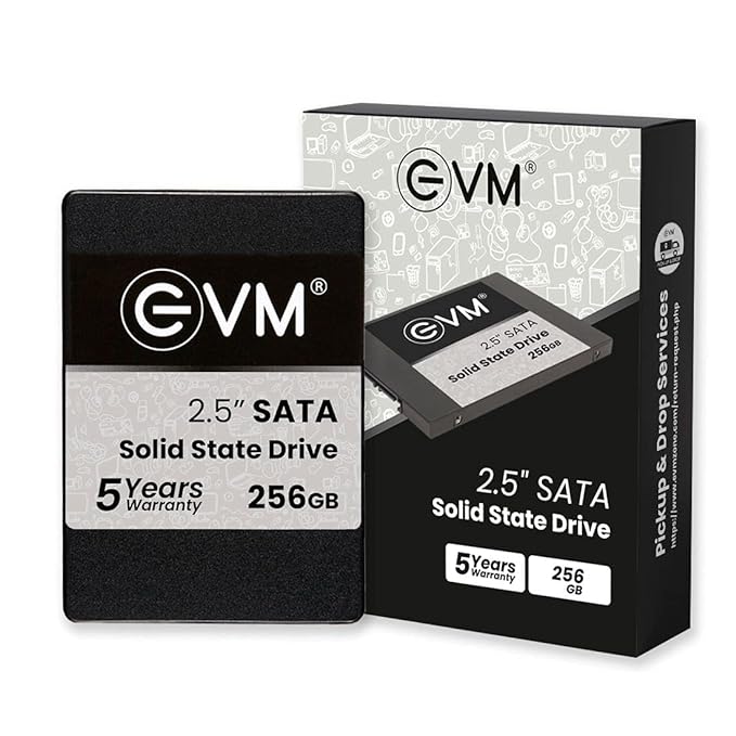 EVM M25 SATA  25 inch 256 GB Internal SSD