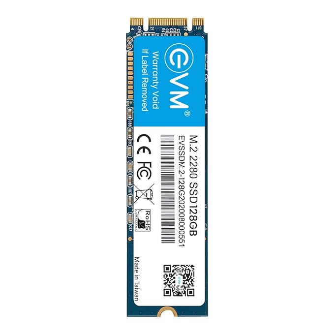 EVM M2 128 GB Internal SSD
