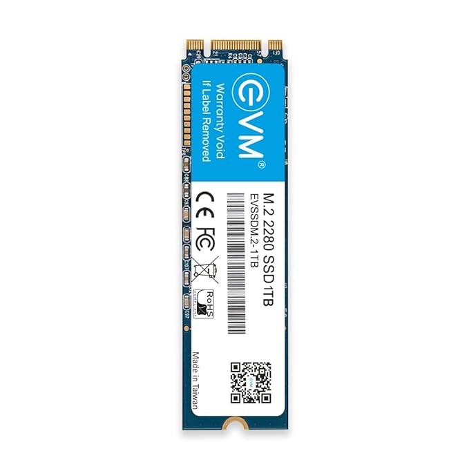 EVM M2 1 TB Internal SSD