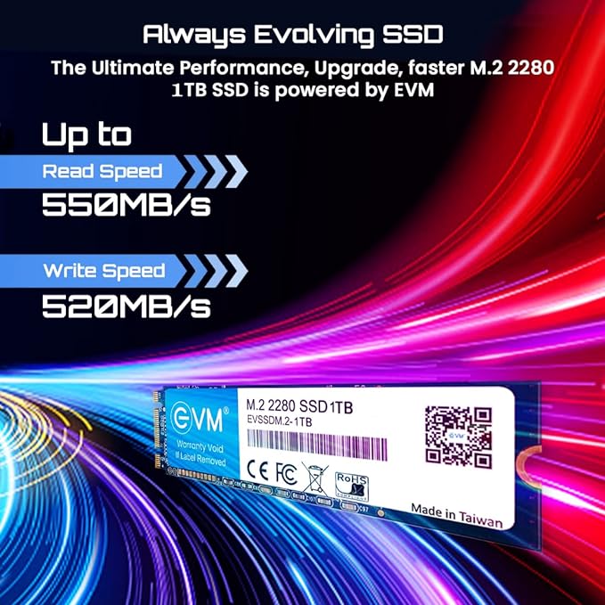 EVM M2 1 TB Internal SSD