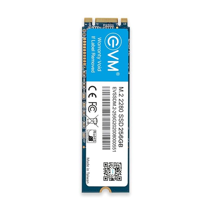 EVM M2 256 GB Internal SSD