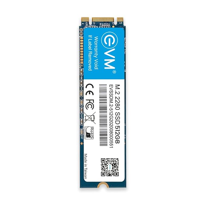 EVM M2 512 GB Internal SSD
