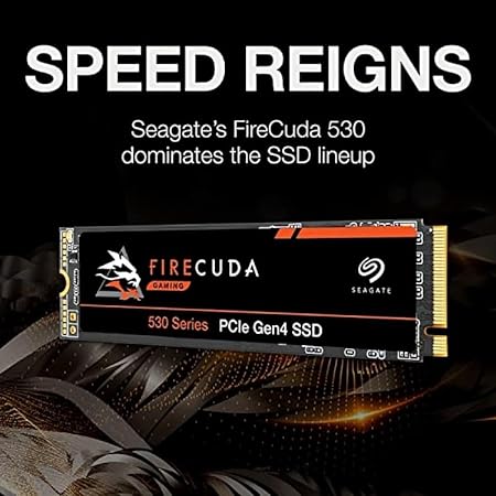 Seagate FireCuda 530 ZP1000GM3A013 1TB Internal SSD