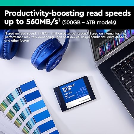 Western Digital WD Blue SA510 NVMe 250 GB Internal SSD