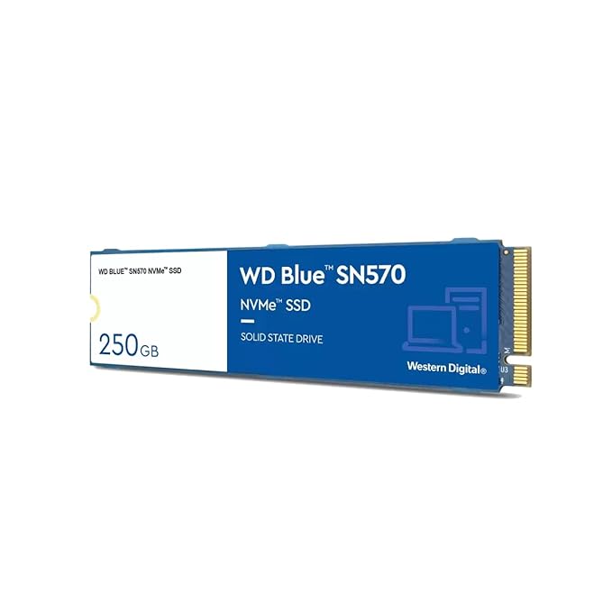 Western Digital WD Blue SN570 NVMe 250 GB Internal SSD