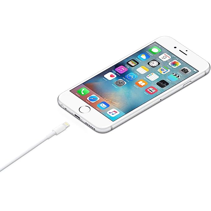 Apple Lightning to USB Cable