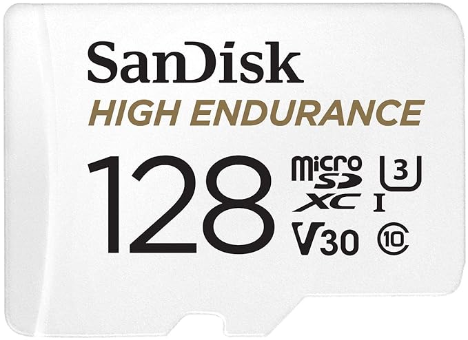 SanDisk 128GB High Endurance Video MicroSDXC Card