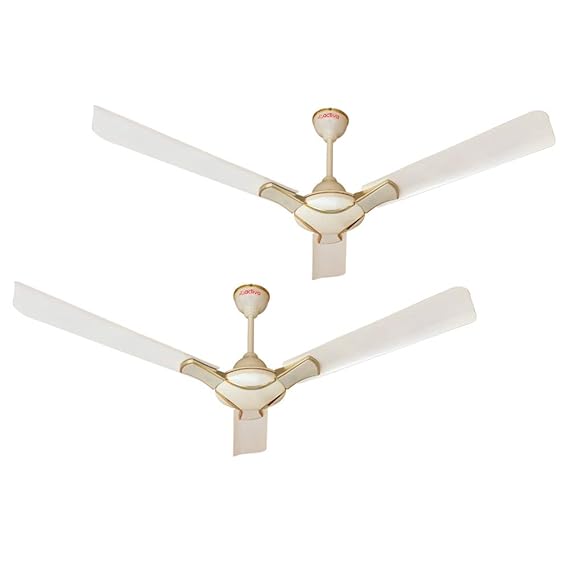 Activa Corolla 1200 mm Ceiling Fan, Pack of 2