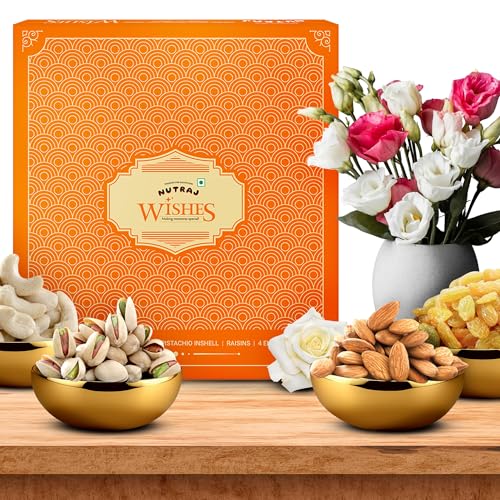 Nutraj Wishes Healthy Goodness 500G Diwali Dry Fruits Gift Hamper 8 Items Festive Gift Hamper