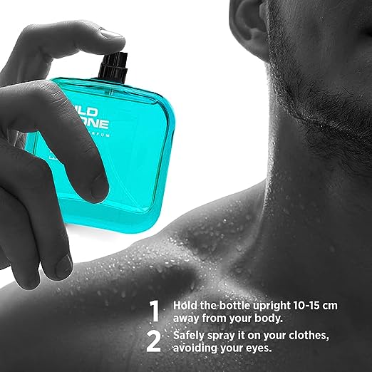 Wild Stone Edge Parfum for Men