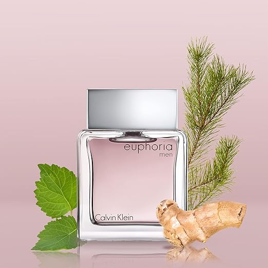 Calvin Klein Euphoria EDT Spray for Men