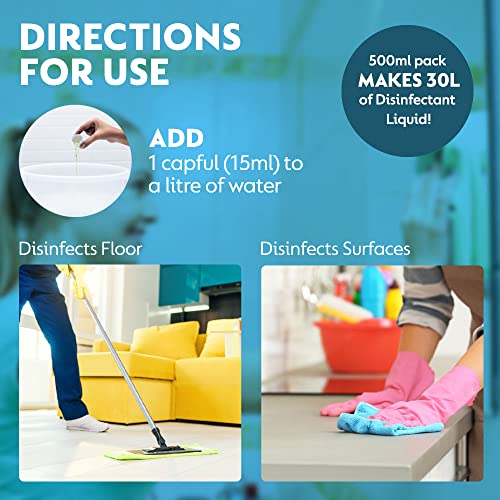 Dettol Liquid Disinfectant for Multi-Purpose Germ Protection, Menthol Cool