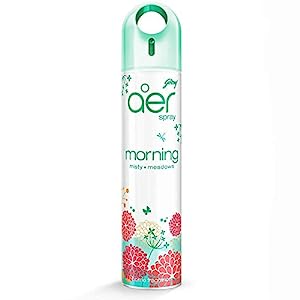 Godrej aer Spray Room Freshener for Home & Office Morning Misty Meadows