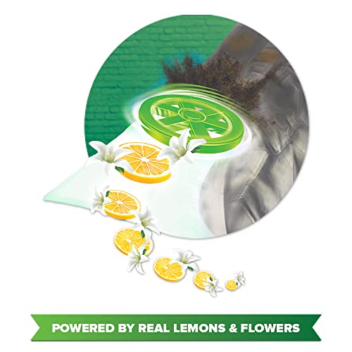 Wheel Green Powder Lemon and Jasmin