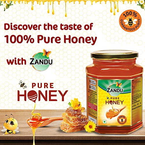 Zandu Pure Honey, 100% Purity, No Added Sugar