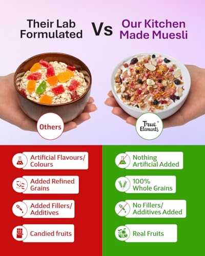 True Elements Fruity Muesli with real freeze-dried fruits with Jowar Flakes