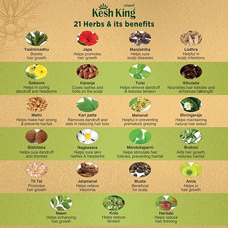 Kesh King Ayurvedic Anti Hairfall Hair Oil