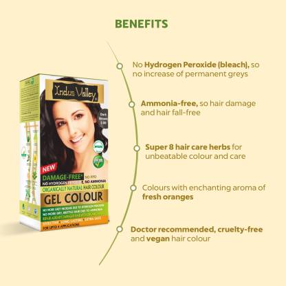 INDUS VALLEY Natural Semi Permanent Hair Colour Dark Brown 3.00 | Damage Free | No Ammonia | Paraben Sulphate PPD Free | 100% Grey Coverage & Long Lasting Hair Color